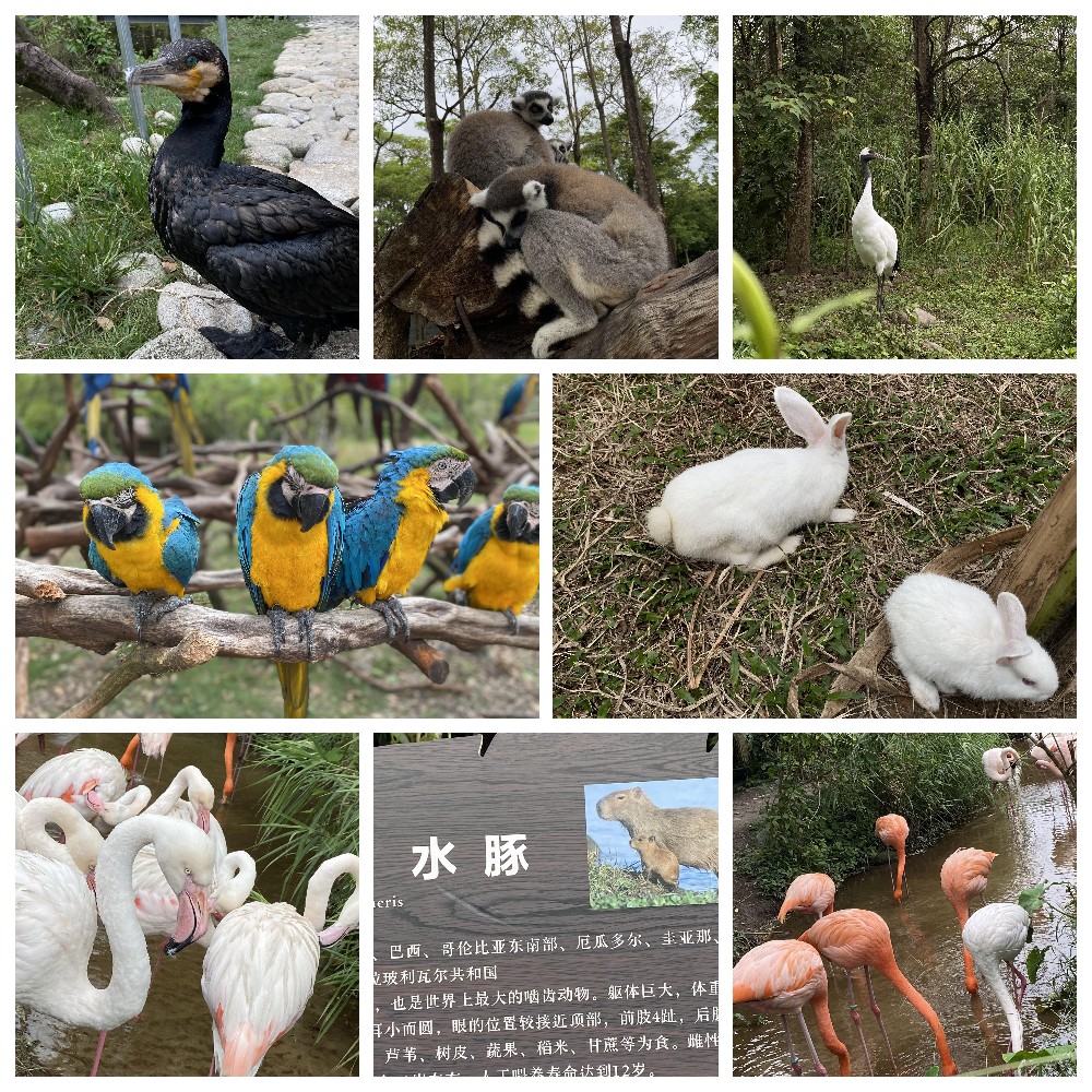 厚積薄發(fā)，蓄力前行：大手牽小手，共圓實(shí)佳夢(mèng)